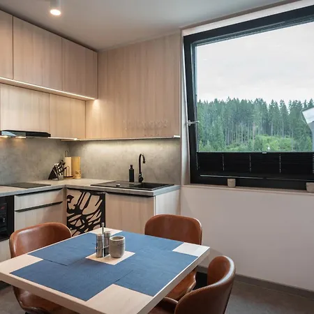Mountain A2 Apartment & Studio On The Ski Slope *