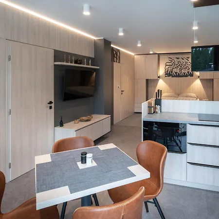 Mountain A2 Apartment & Studio On The Ski Slope