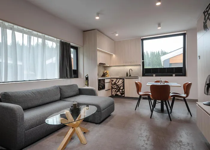 Malino A2 - Modern Family Direct On Slope And Forest Ruzomberok
